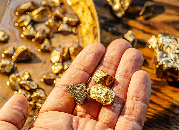 Gold nuggets on a brass plate and on palm